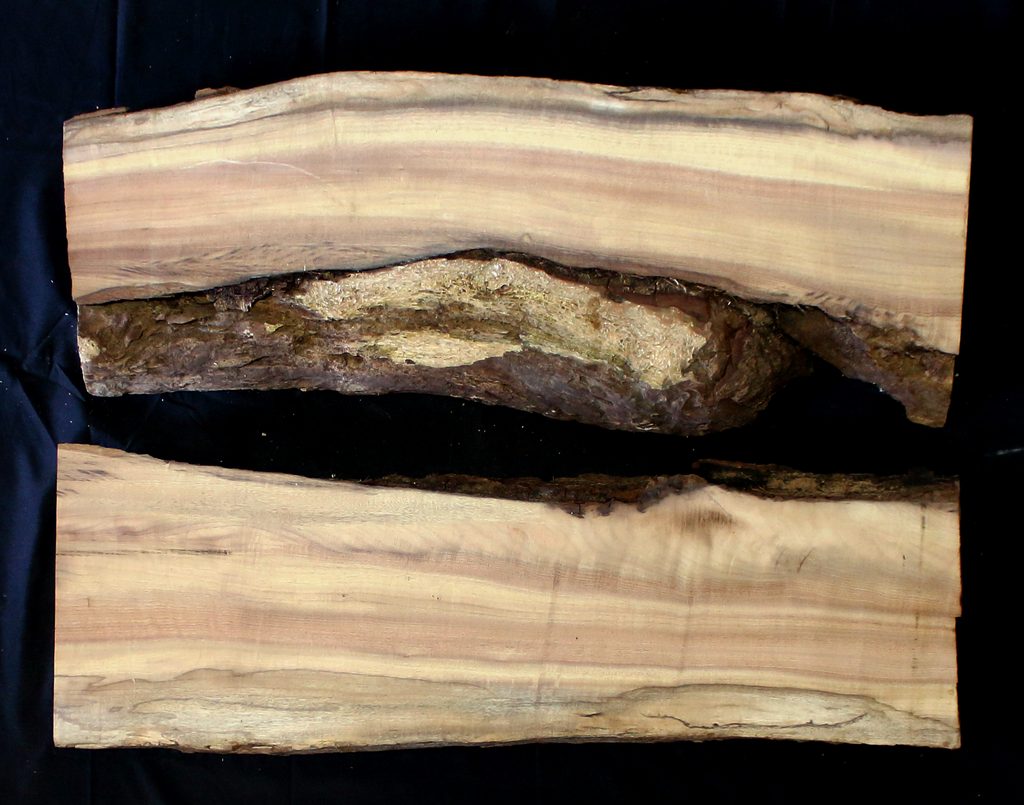Myrtle Wood Natural Edge Slab (MY6127)