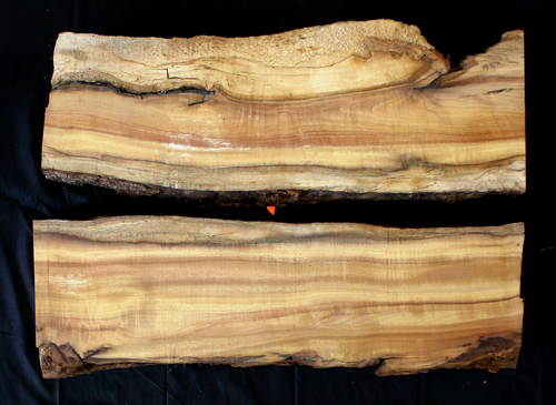 Myrtle Wood Slab