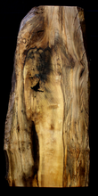 Myrtle Wood Natural Edge Slab (MY6129)