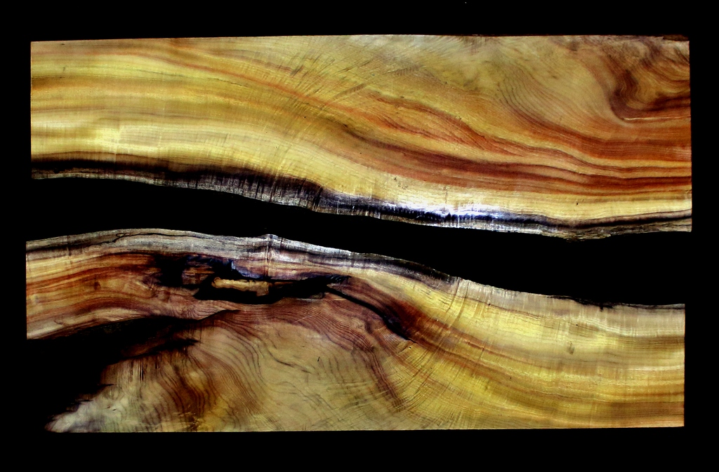 Myrtle Wood Slab
