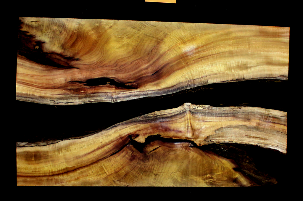 Myrtle Wood Natural Edge Slab (MY6135)
