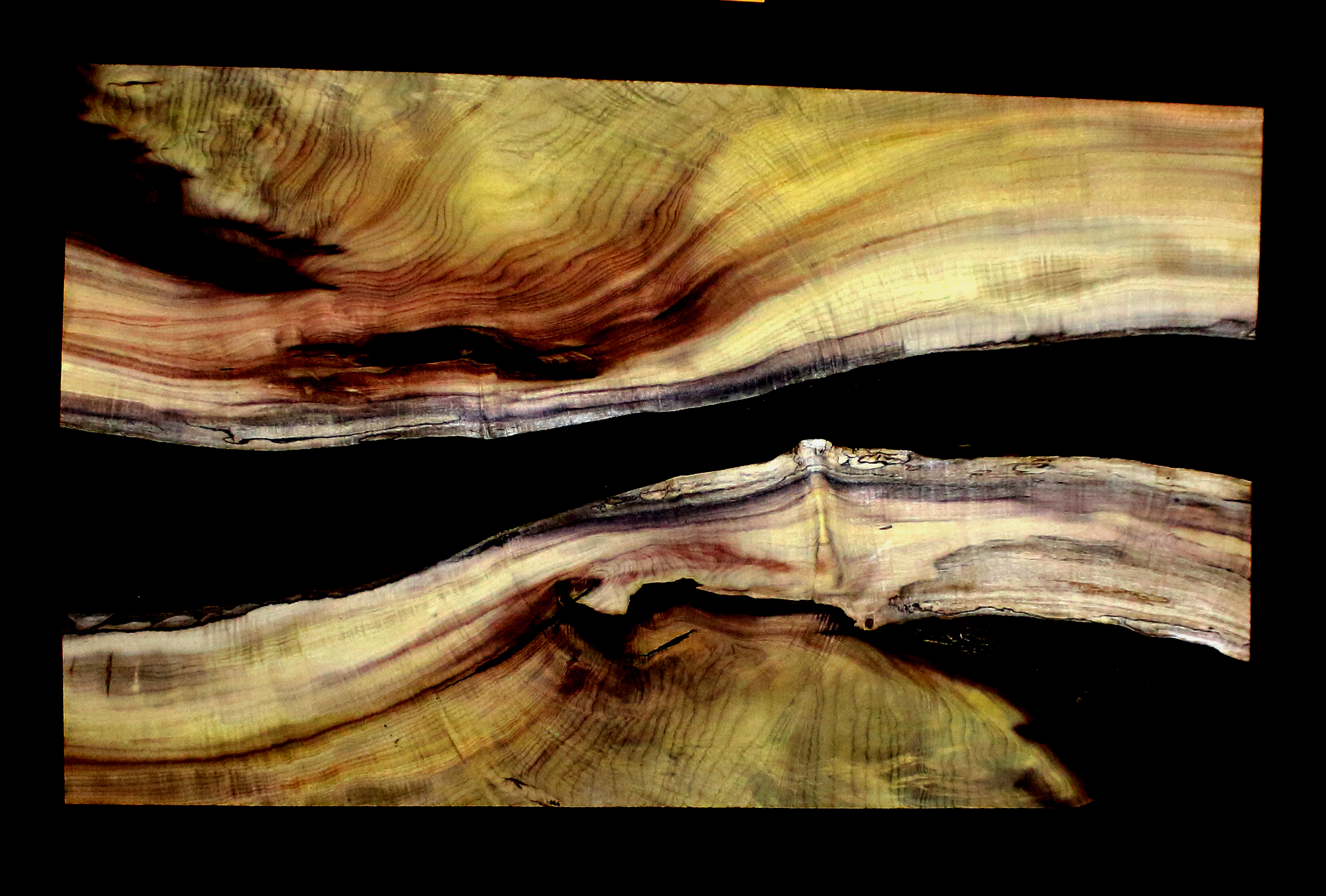 Myrtle Wood Natural Edge Slab (MY6135)