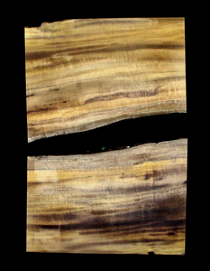 Myrtle Wood Natural Edge Slab (MY6140)
