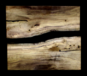Myrtle Wood Natural Edge Slab (MY6148)