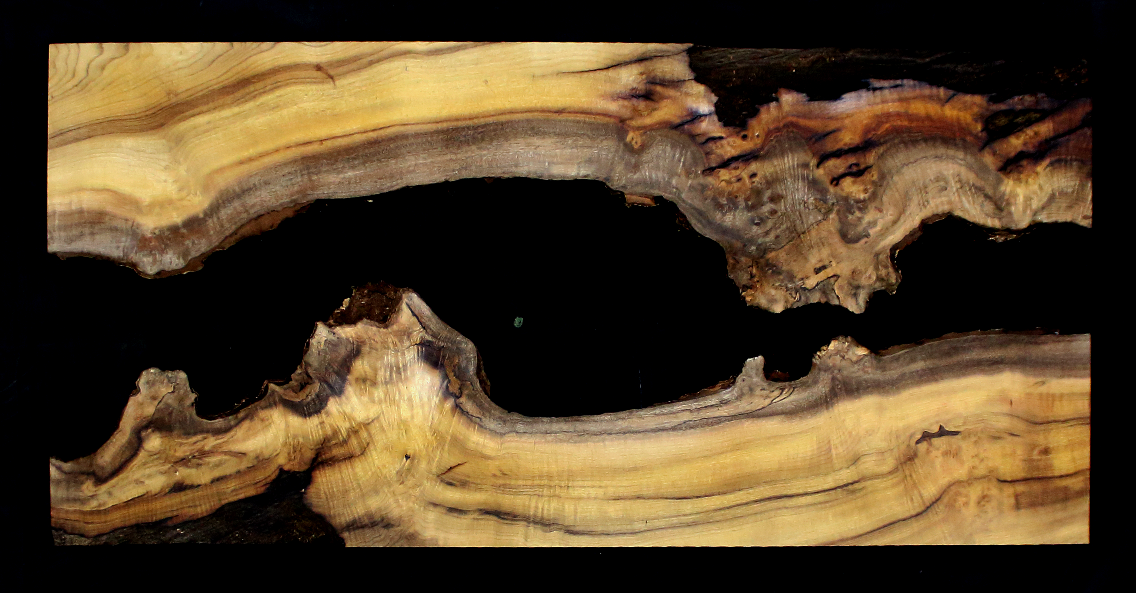 Myrtle Wood Slab