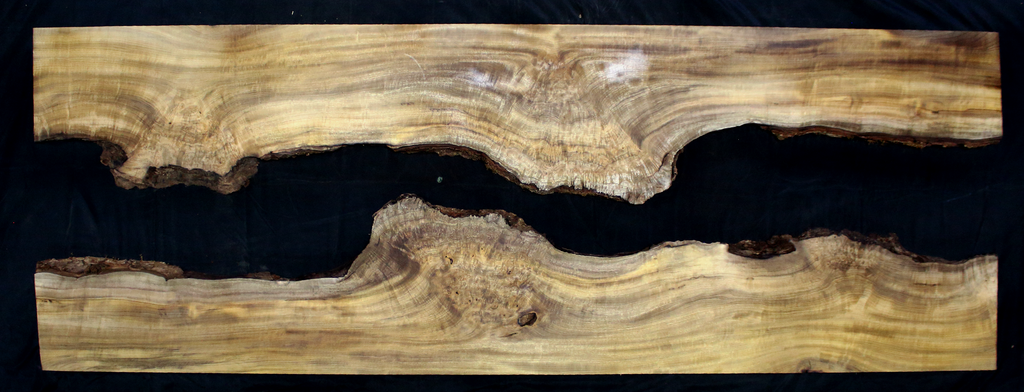 Myrtle Wood Natural Edge Slab (MY6154)