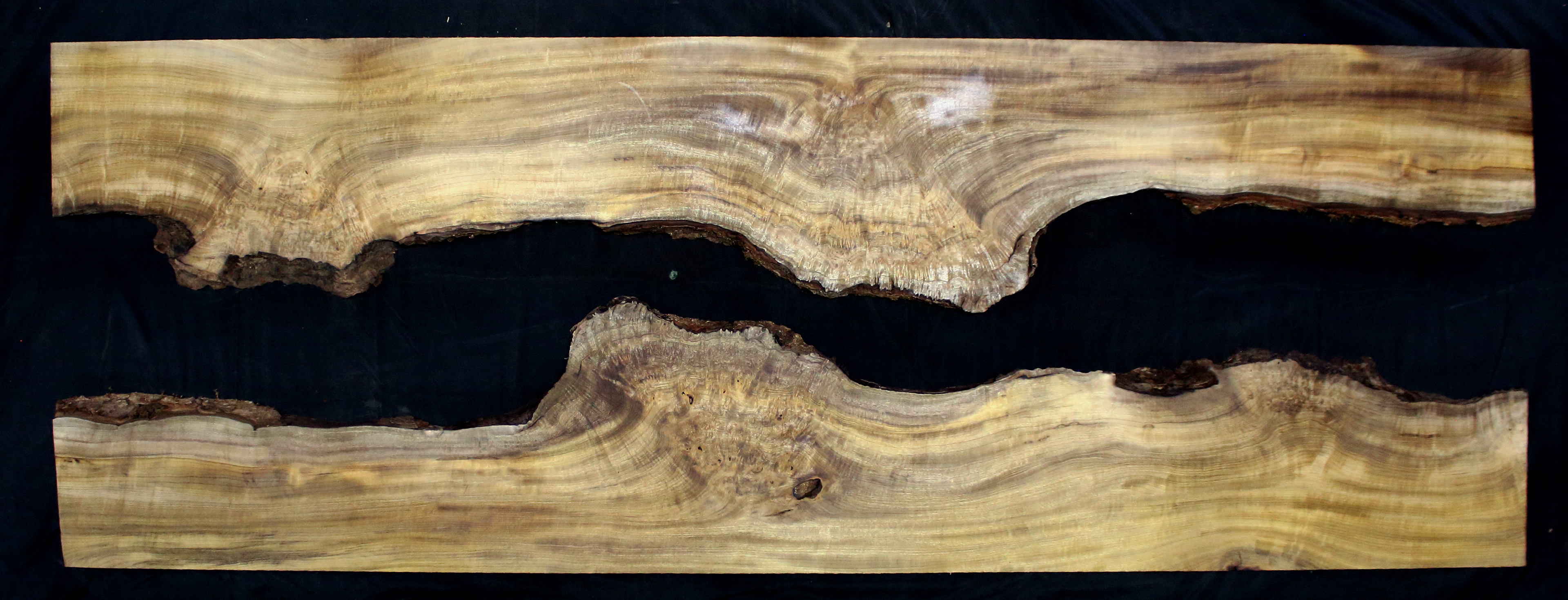 Myrtle Wood Natural Edge Slab (MY6154)
