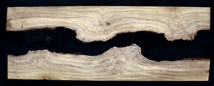 Myrtle Wood Natural Edge Slab (MY6154)
