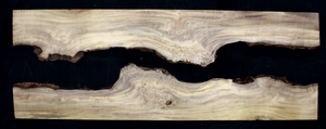 Myrtle Wood Natural Edge Slab (MY6154)