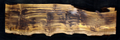 Myrtle Wood Slab
