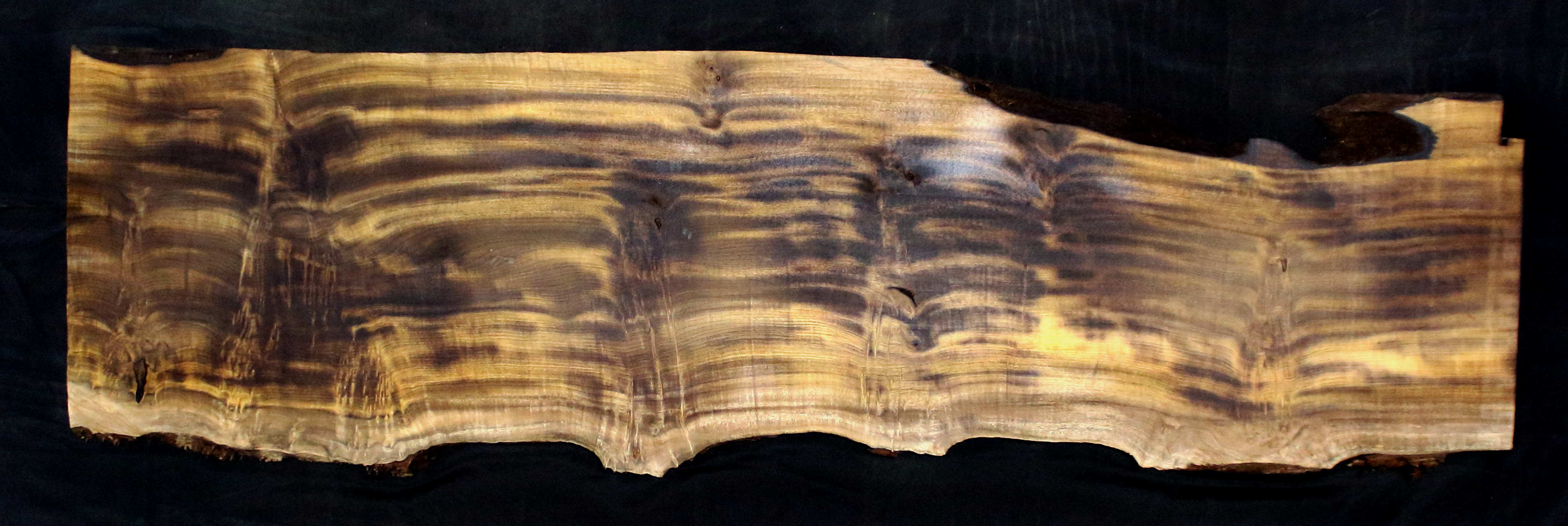 Myrtle Wood Slab