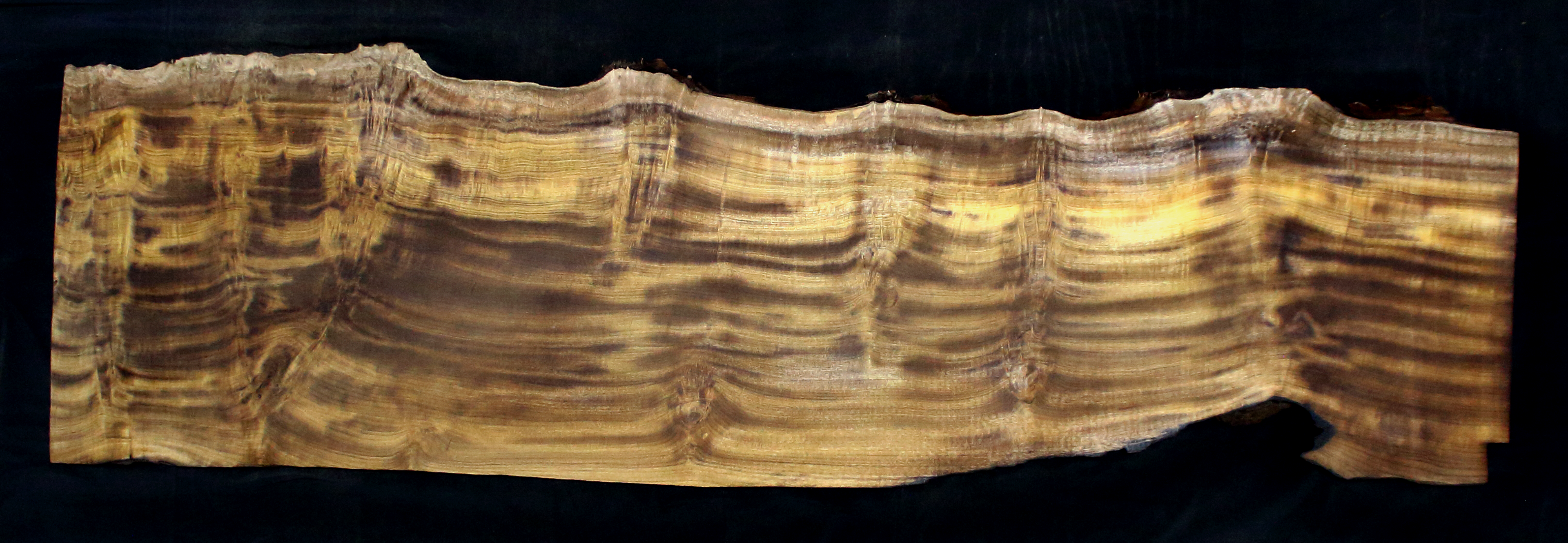 Myrtle Wood Natural Edge Slab (MY6157)