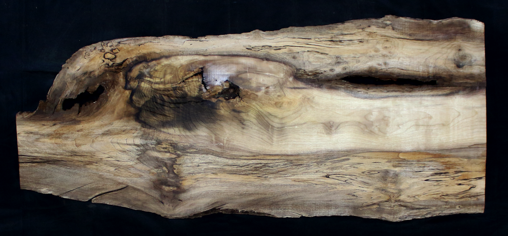 Myrtle Wood Slab