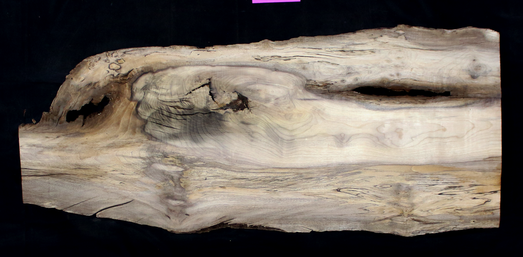 Myrtle Wood Natural Edge Slab (MY6158)