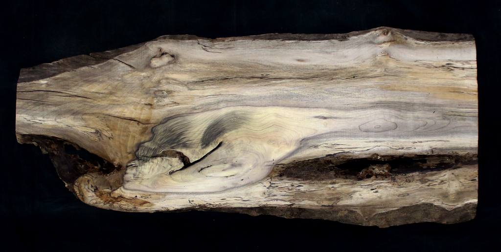 Myrtle Wood Natural Edge Slab (MY6158)