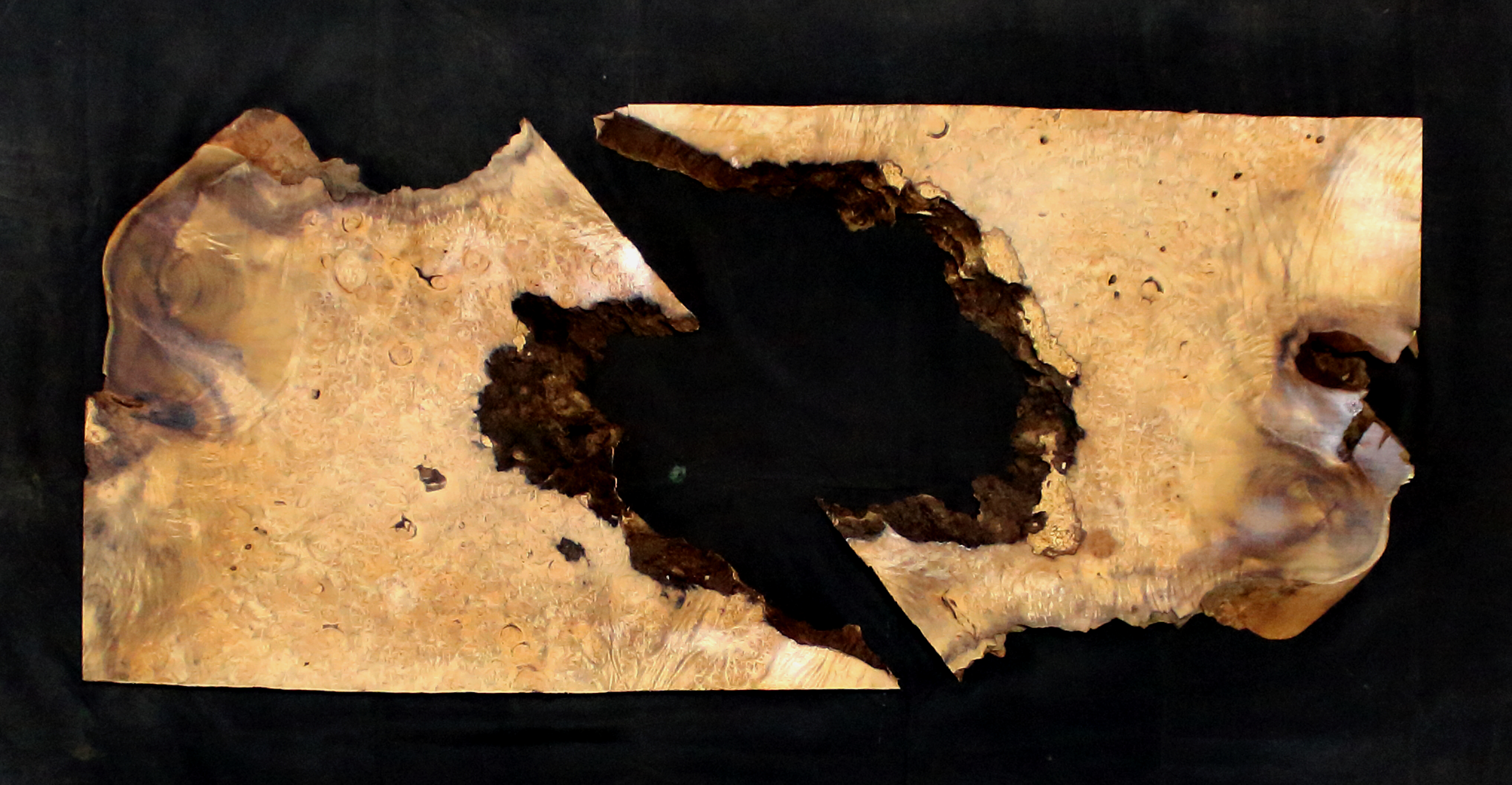 Myrtle Wood Natural Edge Slab (MY6161)