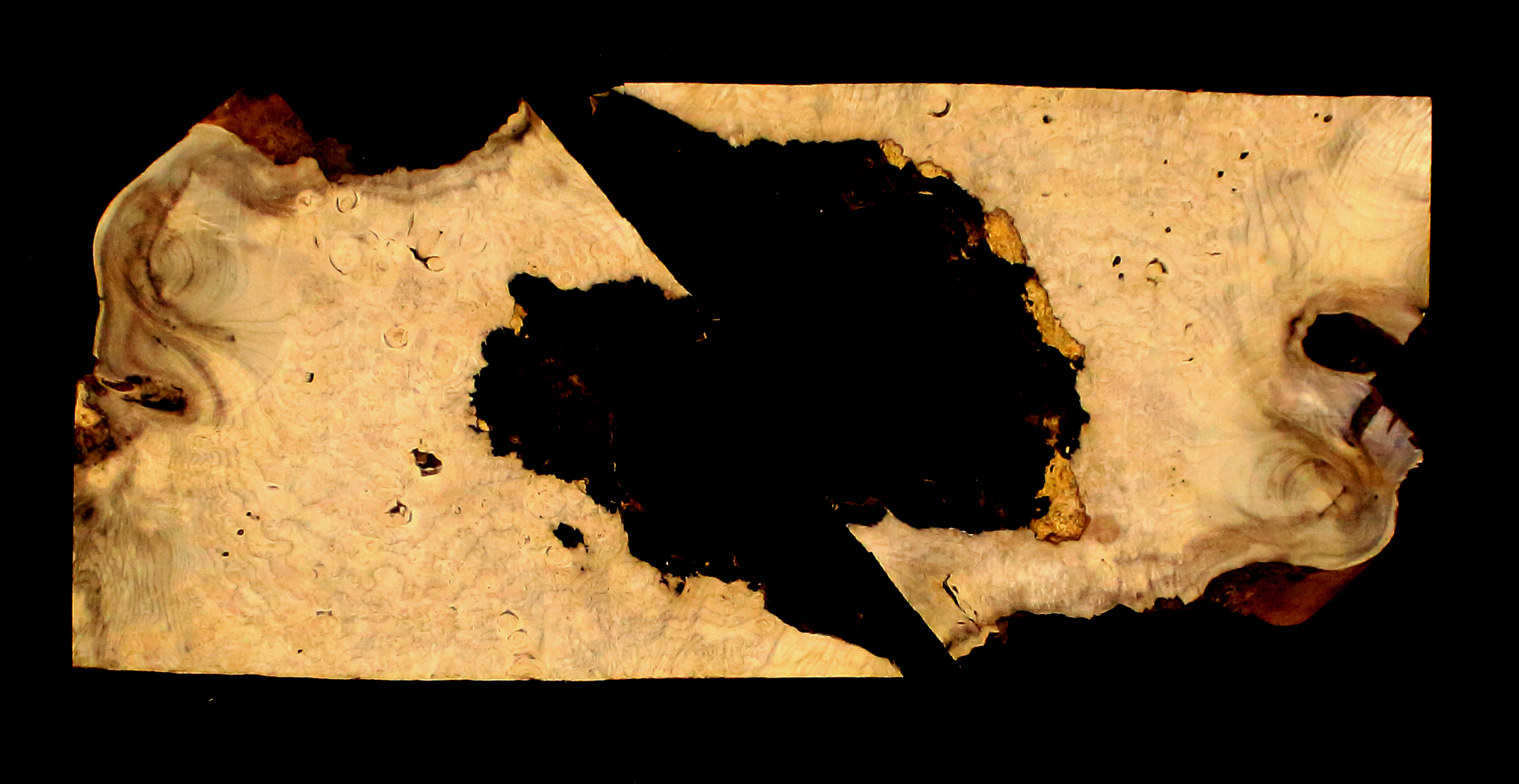 Myrtle Wood Natural Edge Slab (MY6161)