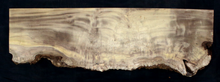 Myrtle Wood Natural Edge Slab (MY6166)