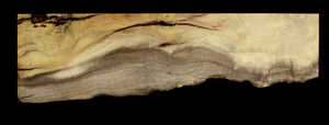 Myrtle Wood Natural Edge Slab (MY6168)