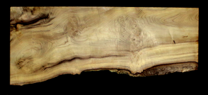Myrtle Wood Natural Edge Slab (MY6171)