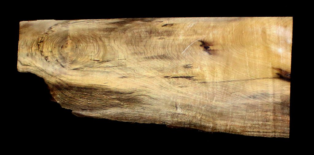 Myrtle Wood Slab
