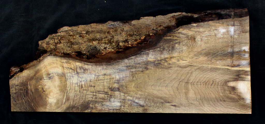 Myrtle Wood Natural Edge Slab (MY6176)