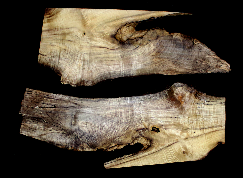 Myrtle Wood Slab