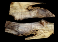 Myrtle Wood Slab