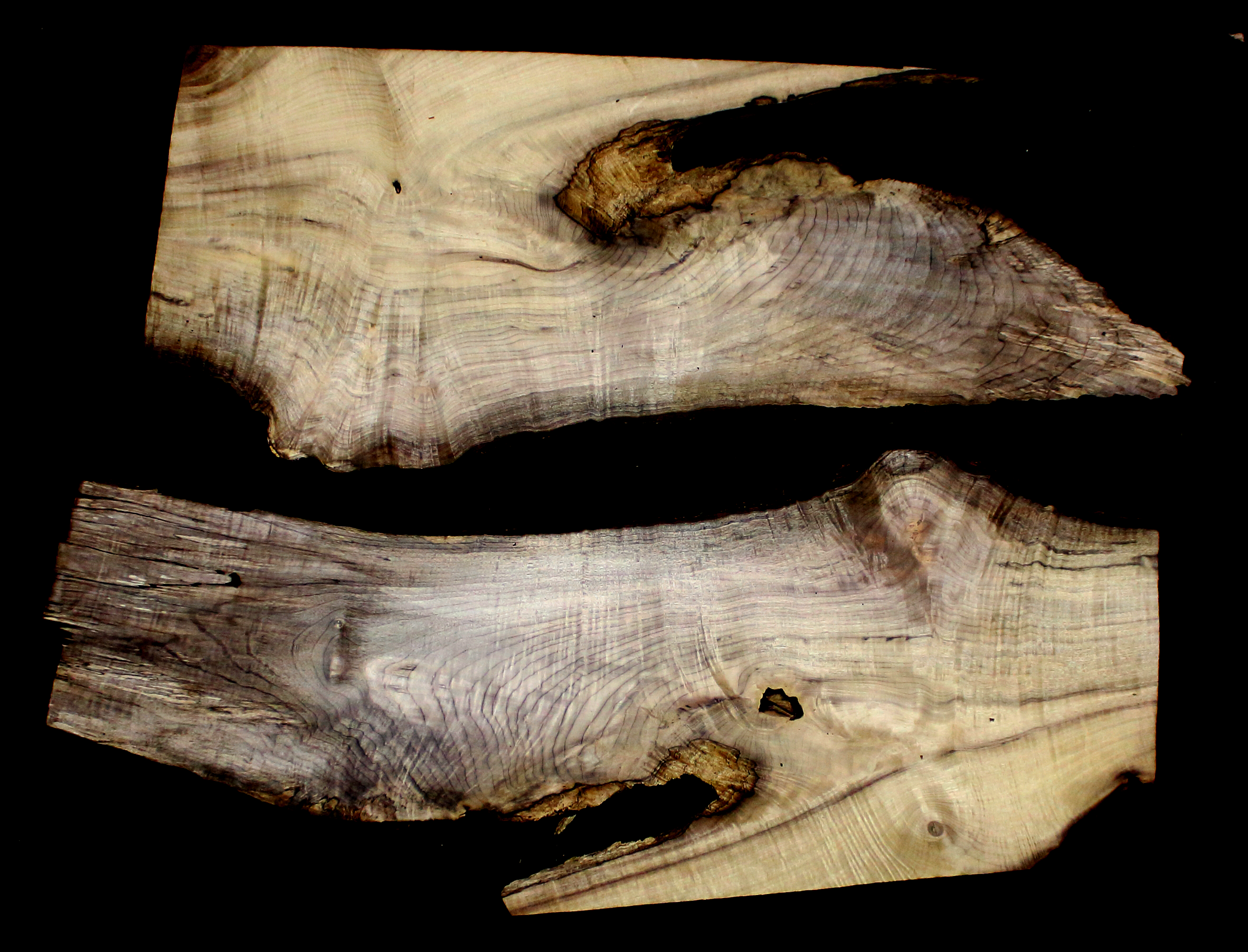 Myrtle Wood Natural Edge Slab (MY6179)