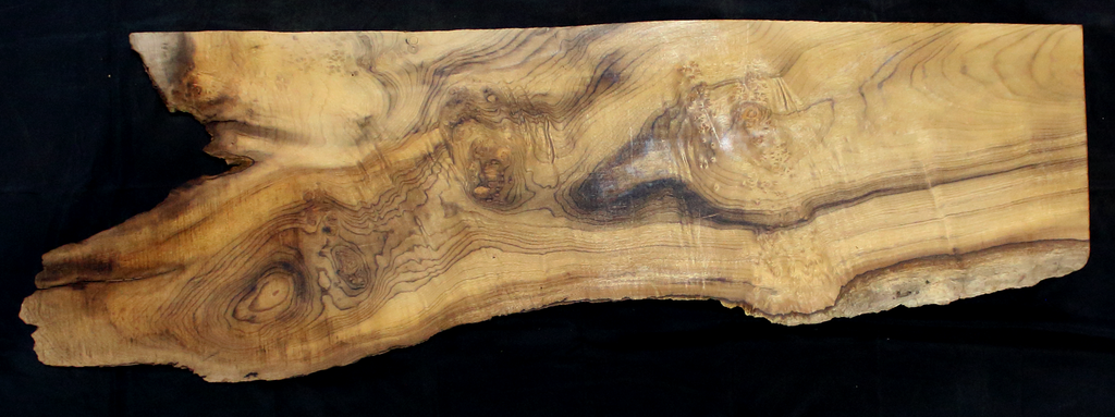 Myrtle Wood Slab
