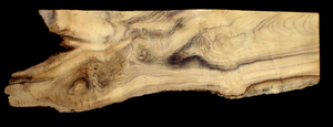 Myrtle Wood Natural Edge Slab (MY6180)