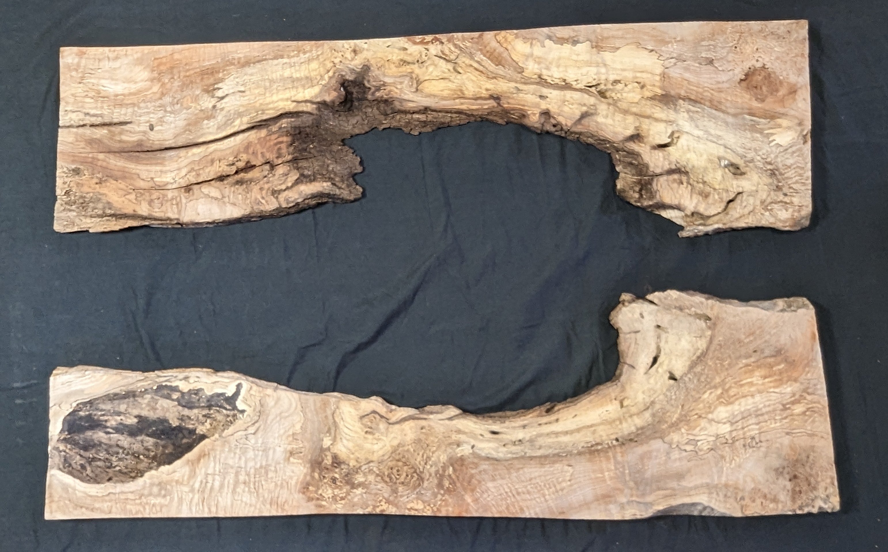 Big Leaf Maple Burl MA 2102