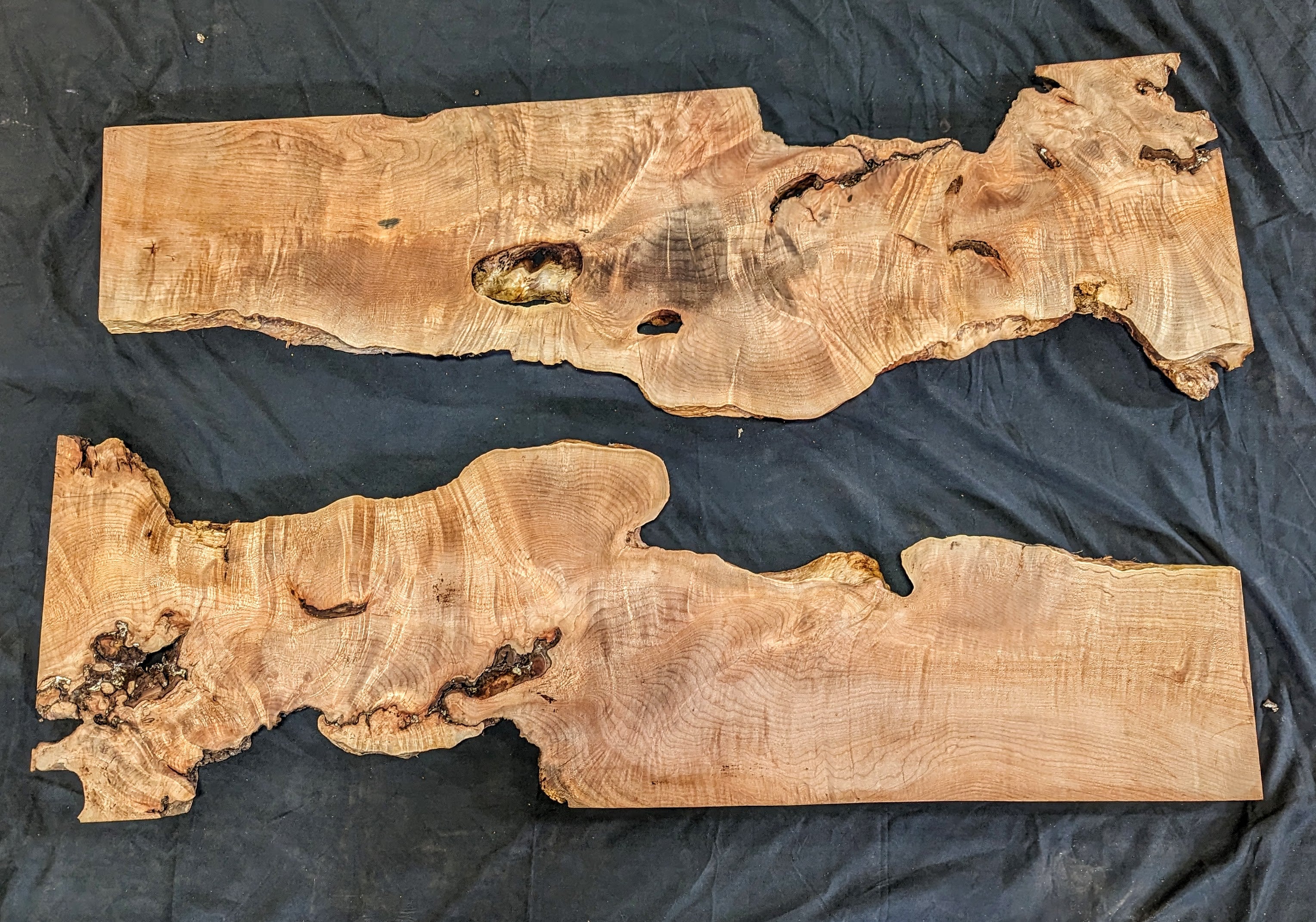 Big Leaf Maple Burl MA 2106