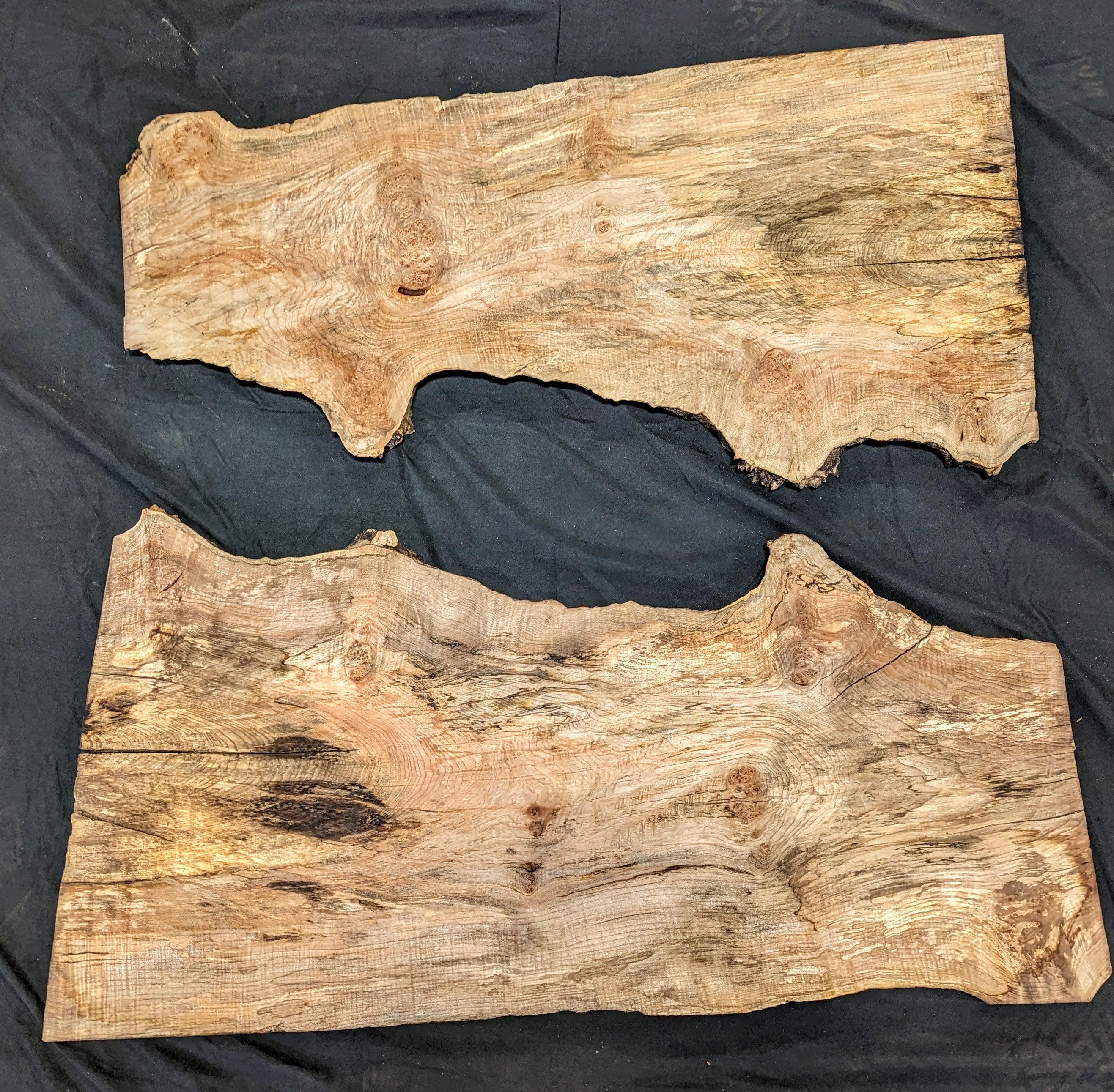 Big Leaf Maple Burl MA2107