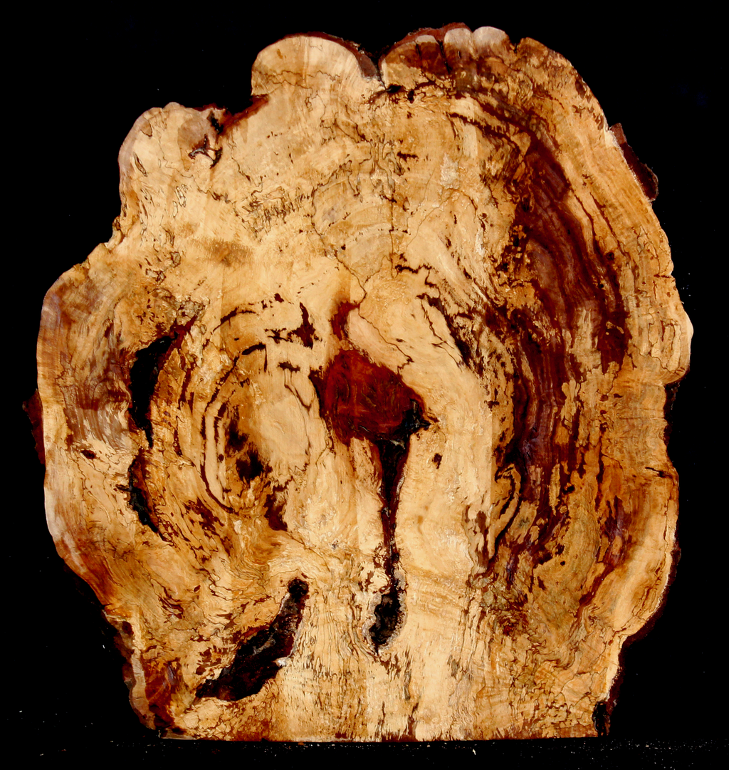 Tan Oak Wood Natural Edge Table Slab TO5000