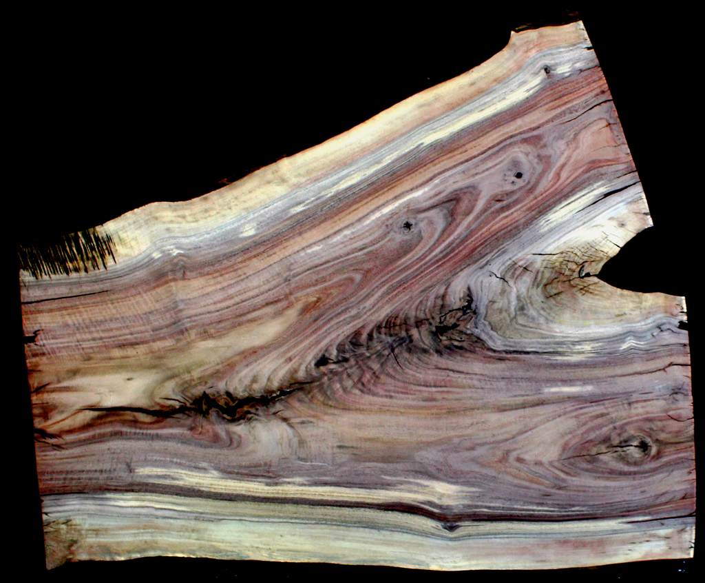 Claro Walnut Wood Crouch Slab Kiln Dried WA1033K
