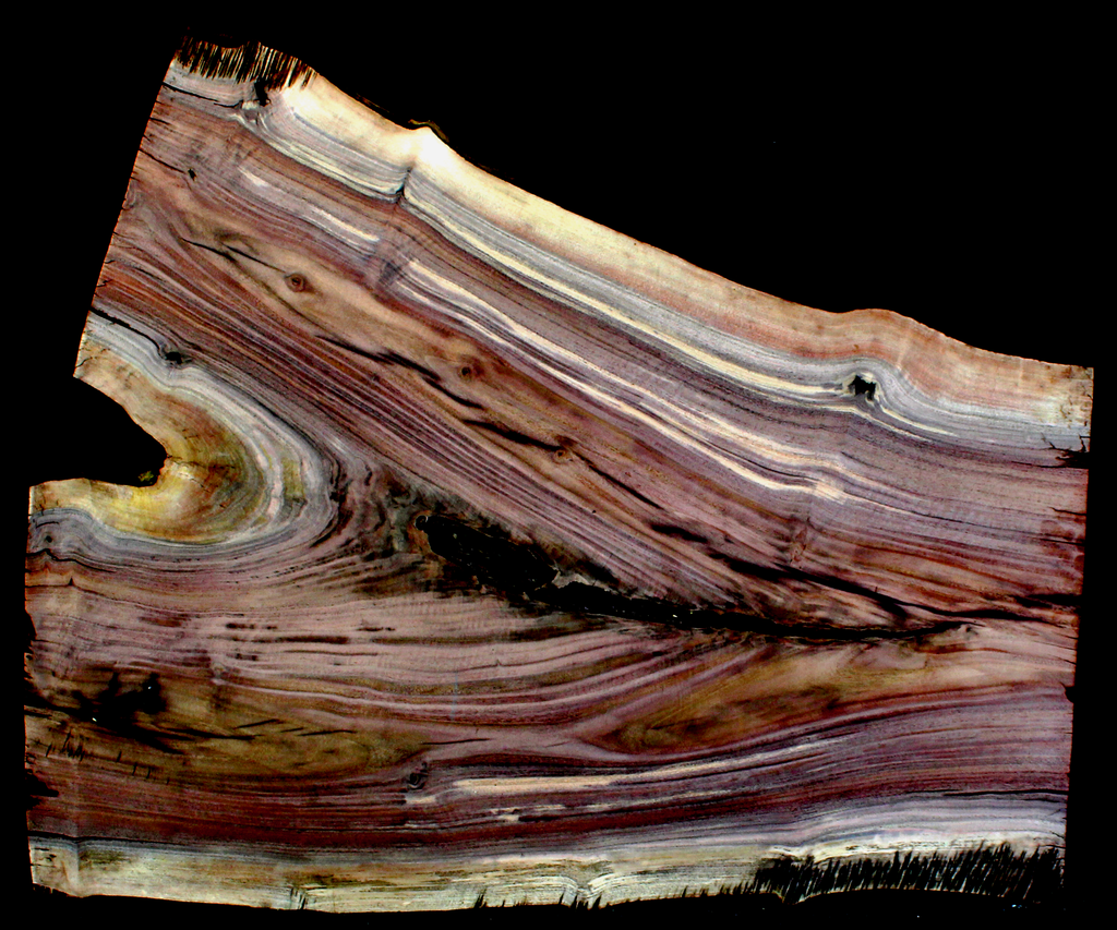 Claro Walnut Wood Crouch Slab Kiln Dried WA1033K