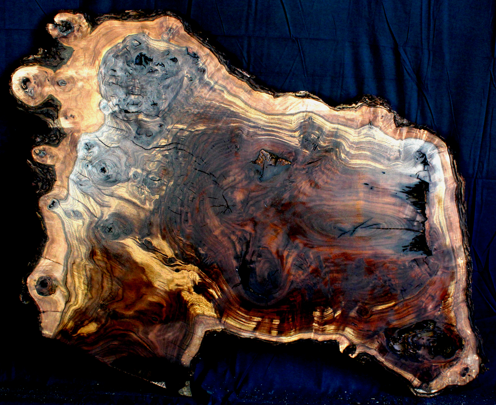 Claro Walnut Wood Natural Edge Table Slab Kiln Dried WA1037K