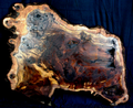 Claro Walnut Wood Natural Edge Table Slab Kiln Dried WA1037K