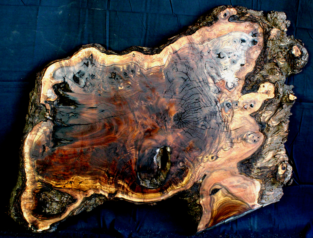 Claro Walnut Wood Natural Edge Table Slab Kiln Dried WA1037K