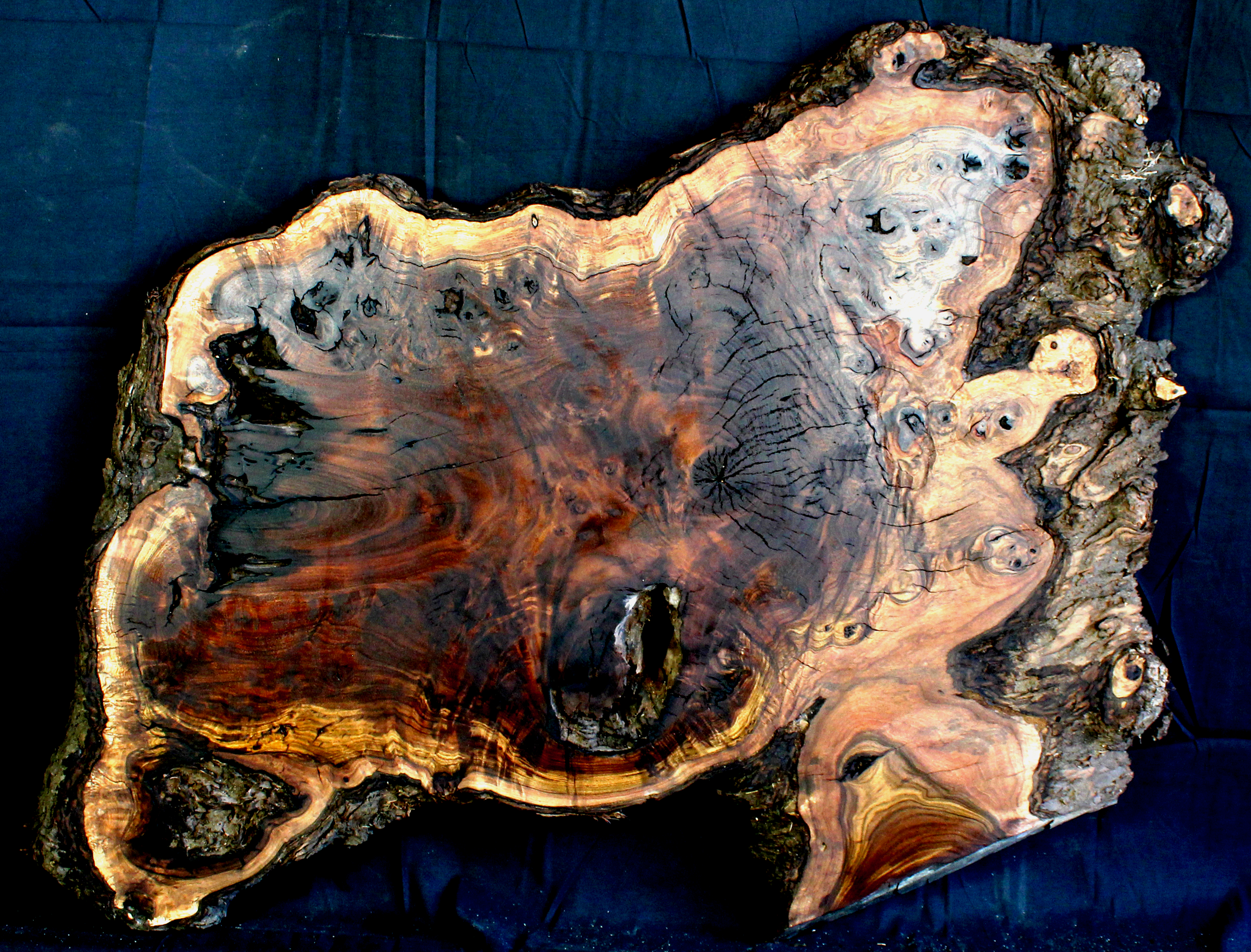 Claro Walnut Wood Natural Edge Table Slab Kiln Dried WA1037K