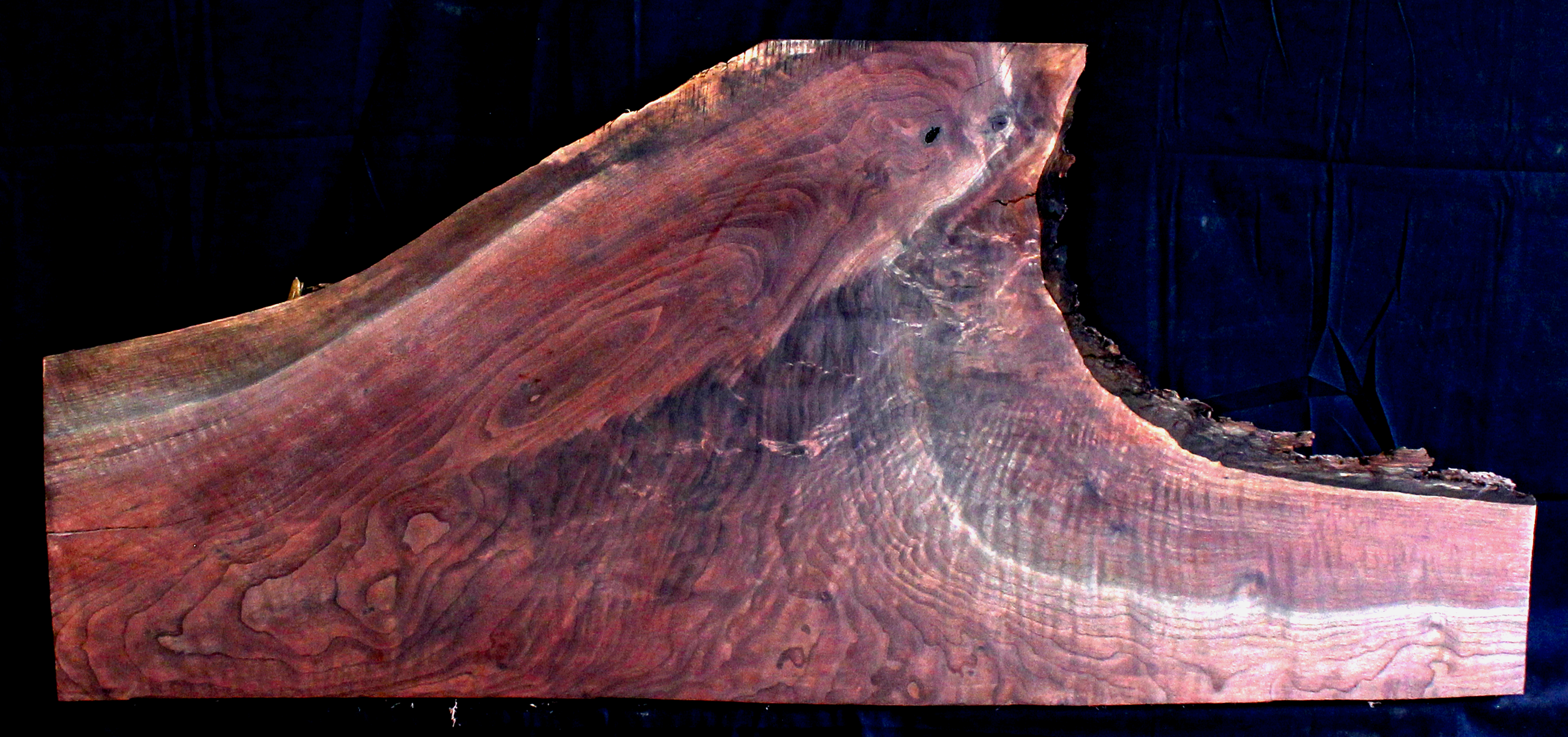 Claro Walnut Wood Natural Edge Slab WA1060K
