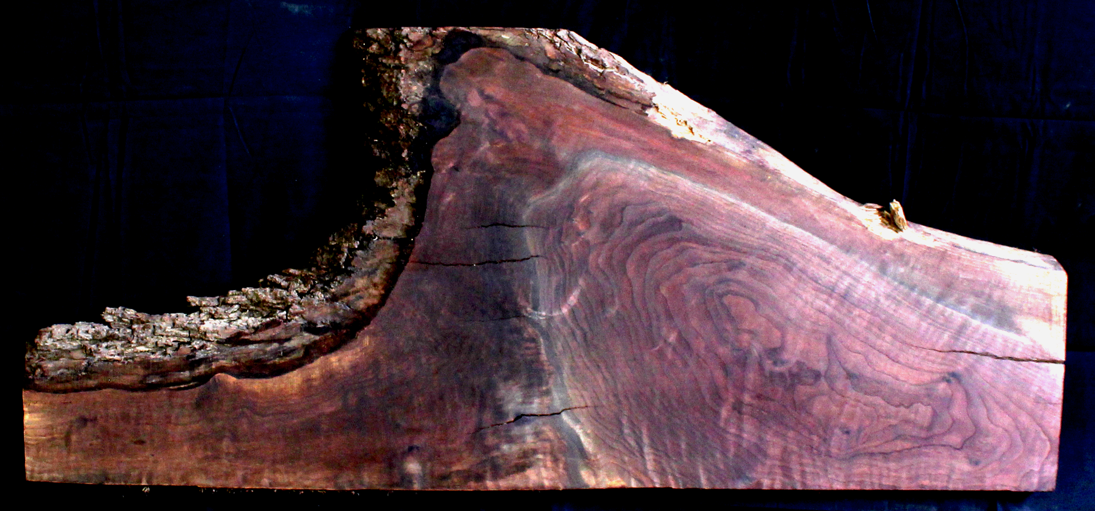 Claro Walnut Wood Natural Edge Slab WA1060K