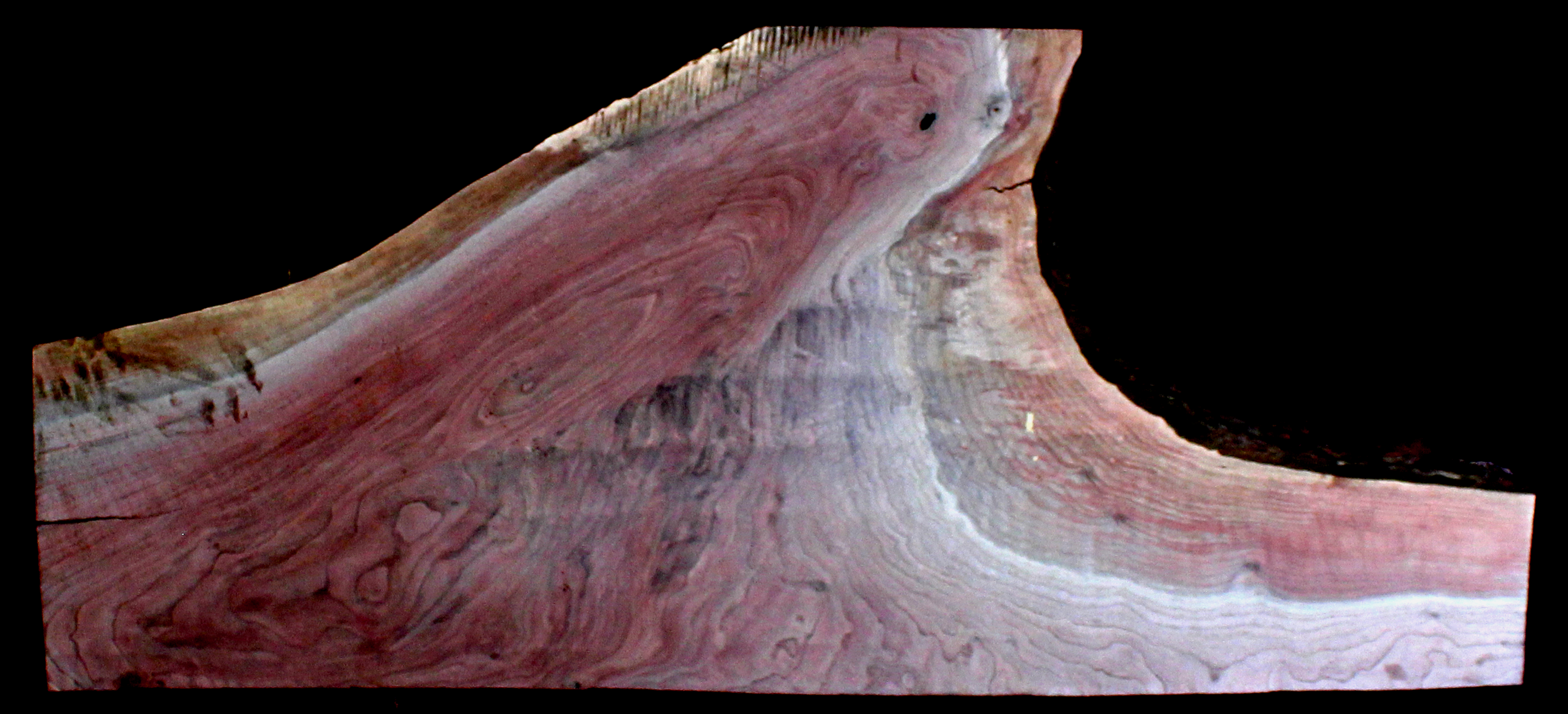 Claro Walnut Wood Natural Edge Slab WA1060K
