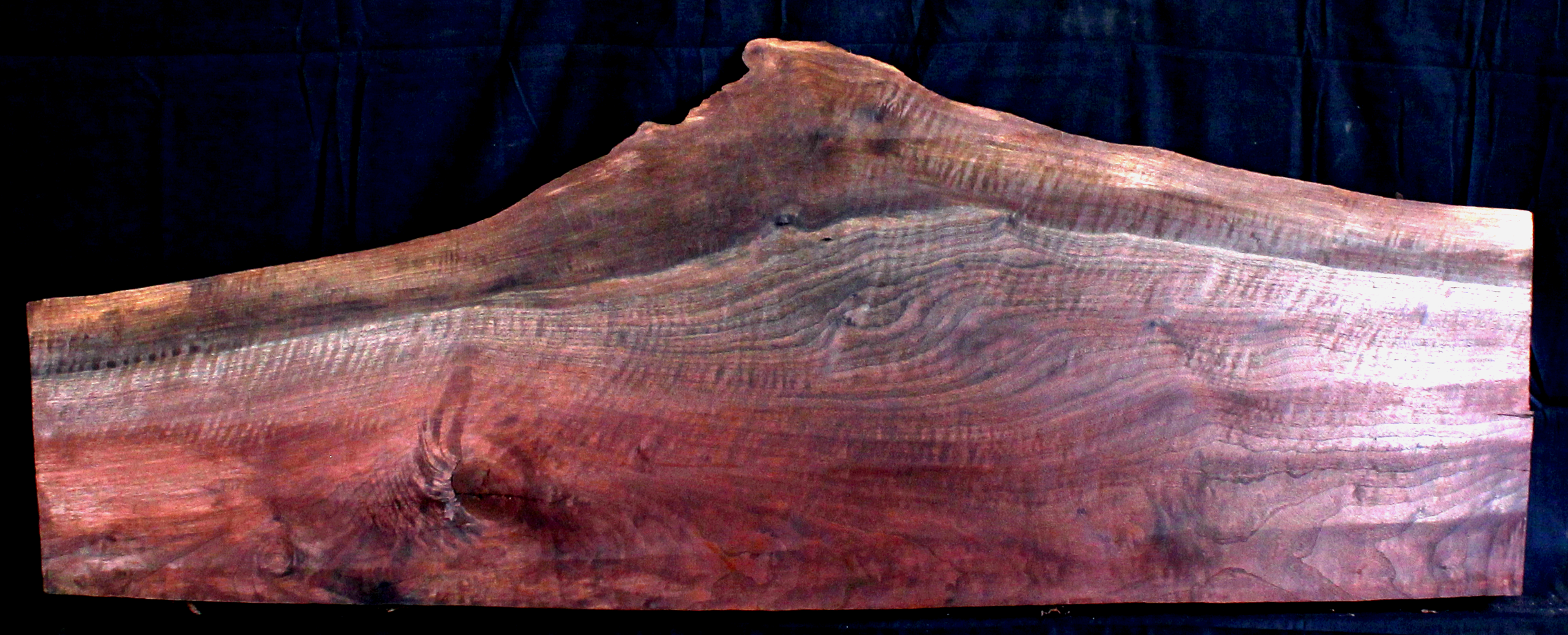 Claro Walnut Wood Natural Edge Slab WA1061K