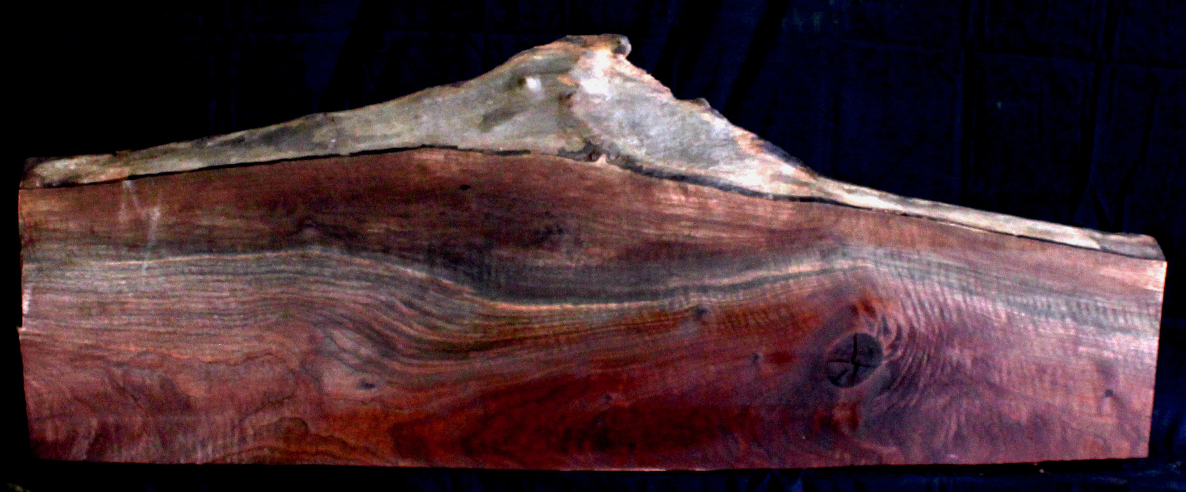 Claro Walnut Wood Natural Edge Slab WA1061K