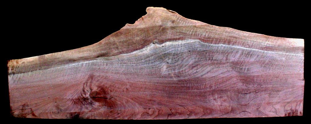Claro Walnut Wood Natural Edge Slab WA1061K