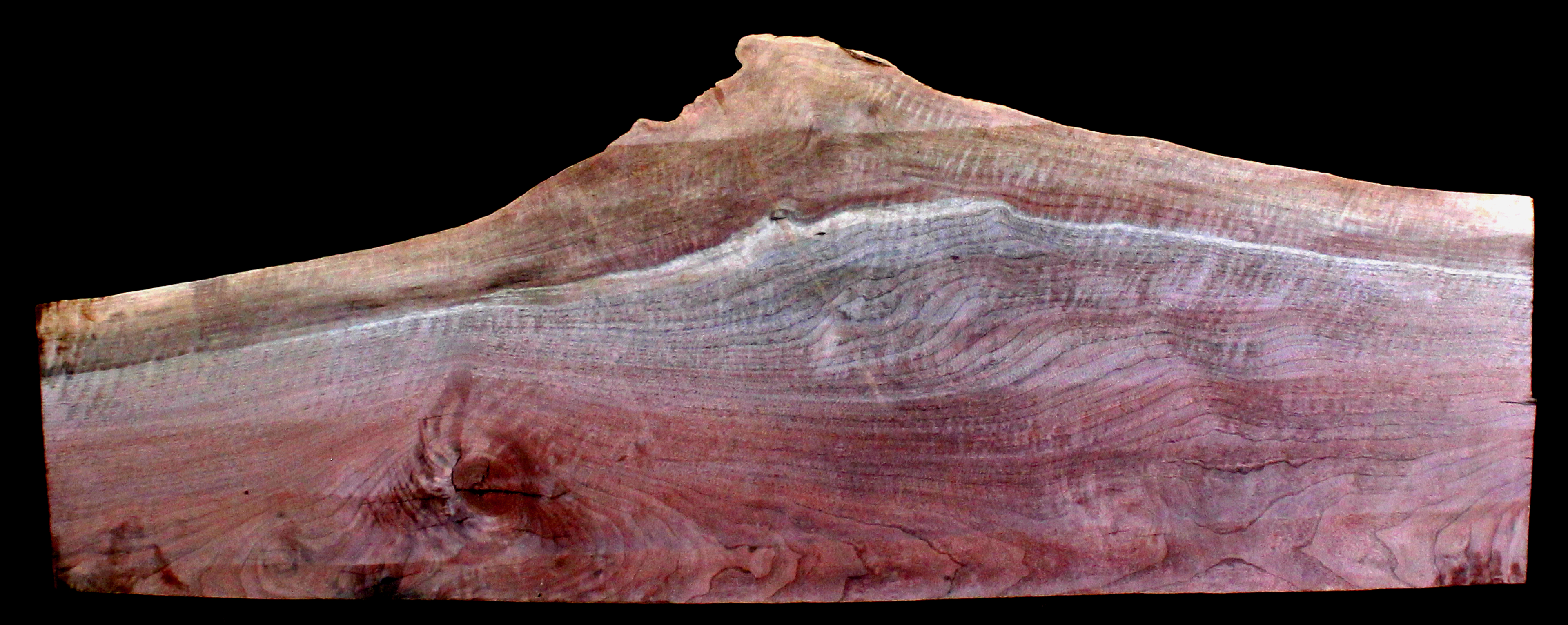 Claro Walnut Wood Natural Edge Slab WA1061K