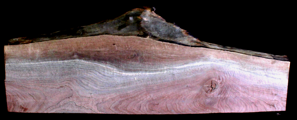 Claro Walnut Wood Natural Edge Slab WA1061K
