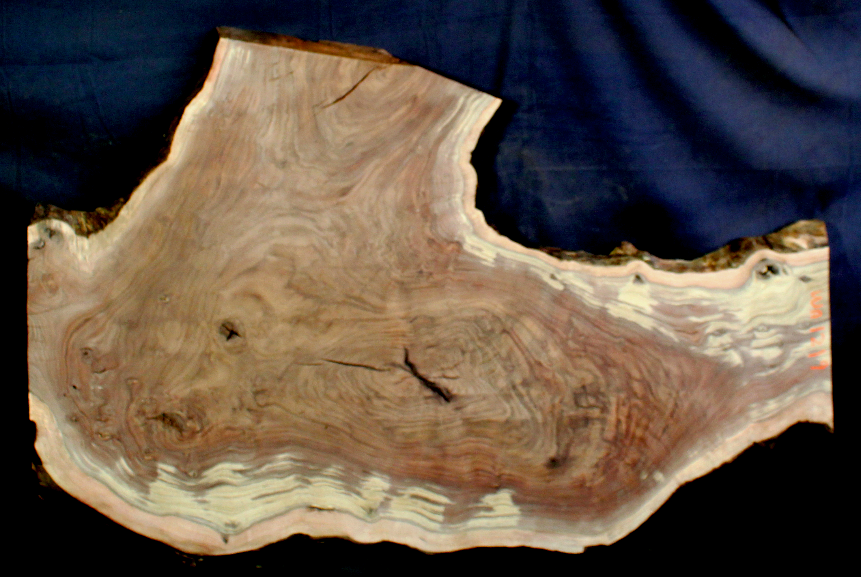 Claro Walnut Wood Natural Edge Slab (WA1219)
